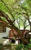 Туры в отель Rivonia Premier Lodge