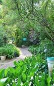 Туры в отель Rivonia Premier Lodge