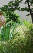 Туры в отель Rivonia Premier Lodge