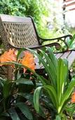 Туры в отель Rivonia Premier Lodge