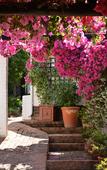 Туры в отель Rivonia Premier Lodge