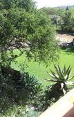 Туры в отель Rivonia Premier Lodge