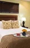 Туры в отель Rivonia Premier Lodge