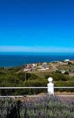 Туры в отель Amzee Bokmakierie Guest House