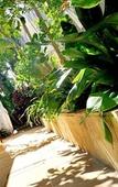 Туры в отель Beachwalk Bed and Breakfast