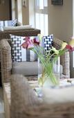 Туры в отель Abalone Guest Lodge