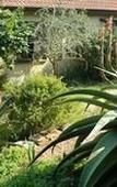 Туры в отель Mackaya Bella Guest House