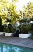 Туры в отель Ashbourne Boutique Guesthouse