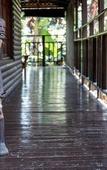 Туры в отель Beetleloop Guest House