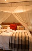 Туры в отель Beetleloop Guest House