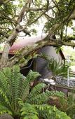 Туры в отель Beetleloop Guest House