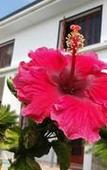 Туры в отель Helderberg Guesthouse