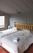 Туры в отель Amafu Forest Lodge