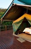 Туры в отель Amafu Forest Lodge