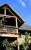 Туры в отель Amafu Forest Lodge
