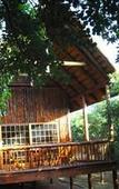 Туры в отель Amafu Forest Lodge
