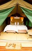 Туры в отель Amafu Forest Lodge