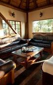 Туры в отель Amafu Forest Lodge