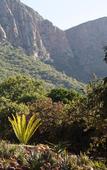 Туры в отель Amafu Forest Lodge