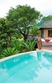Туры в отель Amafu Forest Lodge