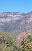 Туры в отель Amafu Forest Lodge