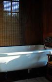 Туры в отель Amafu Forest Lodge