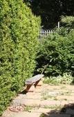 Туры в отель 5 Camp Street Guesthouse & Self-catering