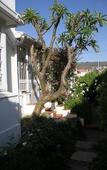 Туры в отель 5 Camp Street Guesthouse & Self-catering