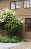 Туры в отель Palm Tree Manor