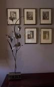 Туры в отель The Crown Guesthouse