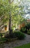 Туры в отель The Crown Guesthouse
