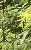Туры в отель Torburnlea Homestead Luxury Accommodation
