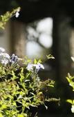 Туры в отель Torburnlea Homestead Luxury Accommodation