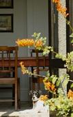 Туры в отель Torburnlea Homestead Luxury Accommodation