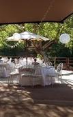 Туры в отель Thanda Manzi Country Hotel