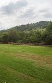 Туры в отель Thanda Manzi Country Hotel