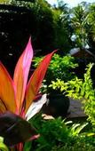 Туры в отель Santa Lucia Guest House
