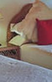 Туры в отель Santa Lucia Guest House