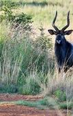Туры в отель Elements Private Golf Reserve