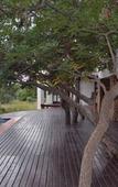 Туры в отель Elements Private Golf Reserve