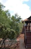 Туры в отель Elements Private Golf Reserve