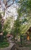 Туры в отель Amadwala Lodge