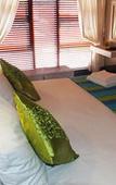 Туры в отель White Shark Guest House