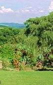 Туры в отель Hoyo Hoyo Machadostud Lodge