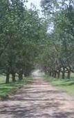 Туры в отель Hoyo Hoyo Machadostud Lodge
