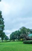 Туры в отель Hoyo Hoyo Machadostud Lodge