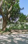 Туры в отель Bay Tree Guest House
