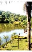 Туры в отель Bambuu Lakeside Lodge