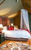 Туры в отель Chandelier Game Lodge