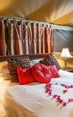 Туры в отель Chandelier Game Lodge